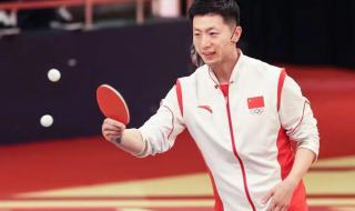 乒乓球世界杯总决赛