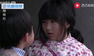 樱桃红燕子 樱桃红燕子