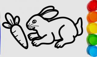 新手画小白兔怎么画