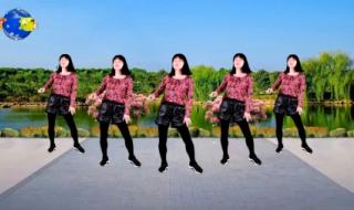 中老年广场舞教学