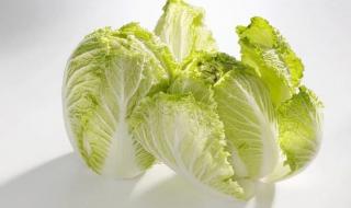 五九天是什么日子