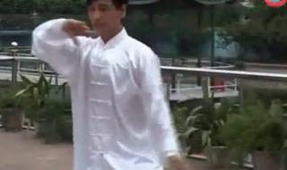 吴阿敏太极拳教程 吴阿敏太极拳教程