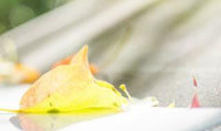 lol头像怎么获得