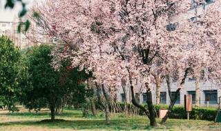 苏州农业职业技术