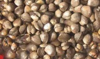 曹妃甸潮汐表查询2020 曹妃甸潮汐表查询2020