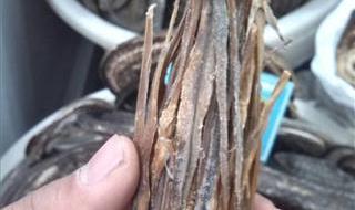 江西省萍乡市莲花县