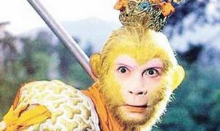 我和孙悟空过一天