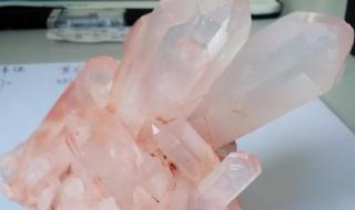 上海自然博物馆新馆