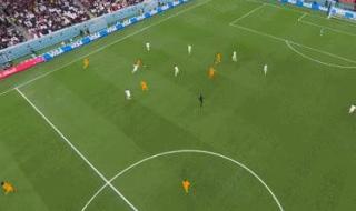 历届世界杯参赛队伍